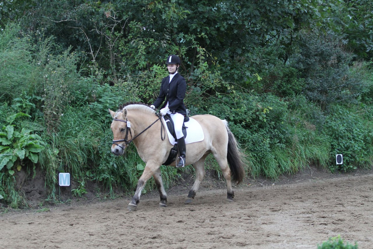 Bild 405 - WBO-Turnier am 18.9.11
